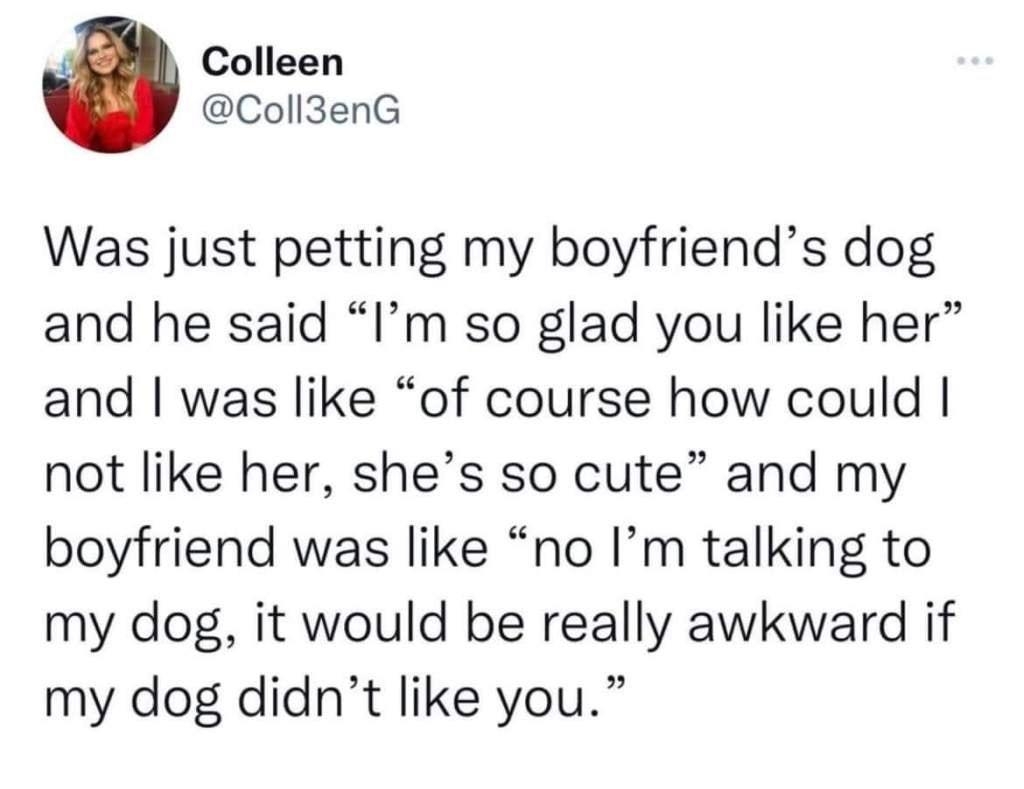 Colleen Coll3enG Was just petting my boyfriends dog and he said Im so glad you like her and was like of course how could not like her shes so cute and my boyfriend was like no Im talking to my dog it would be really awkward if my dog didnt like you 729 PM 81622 Twitter for iPhone 111K Retweets 1096 Quote Tweets 270K Likes