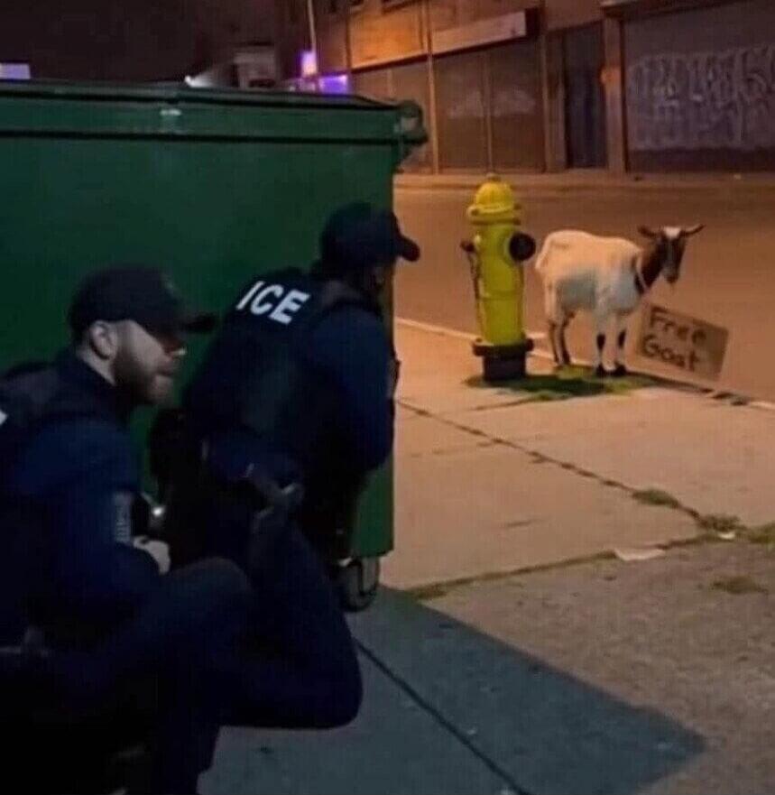 ICE officers crouching behind a dumpster; a goat near a fire hydrant with a cardboard sign reading 'Free Goat'.