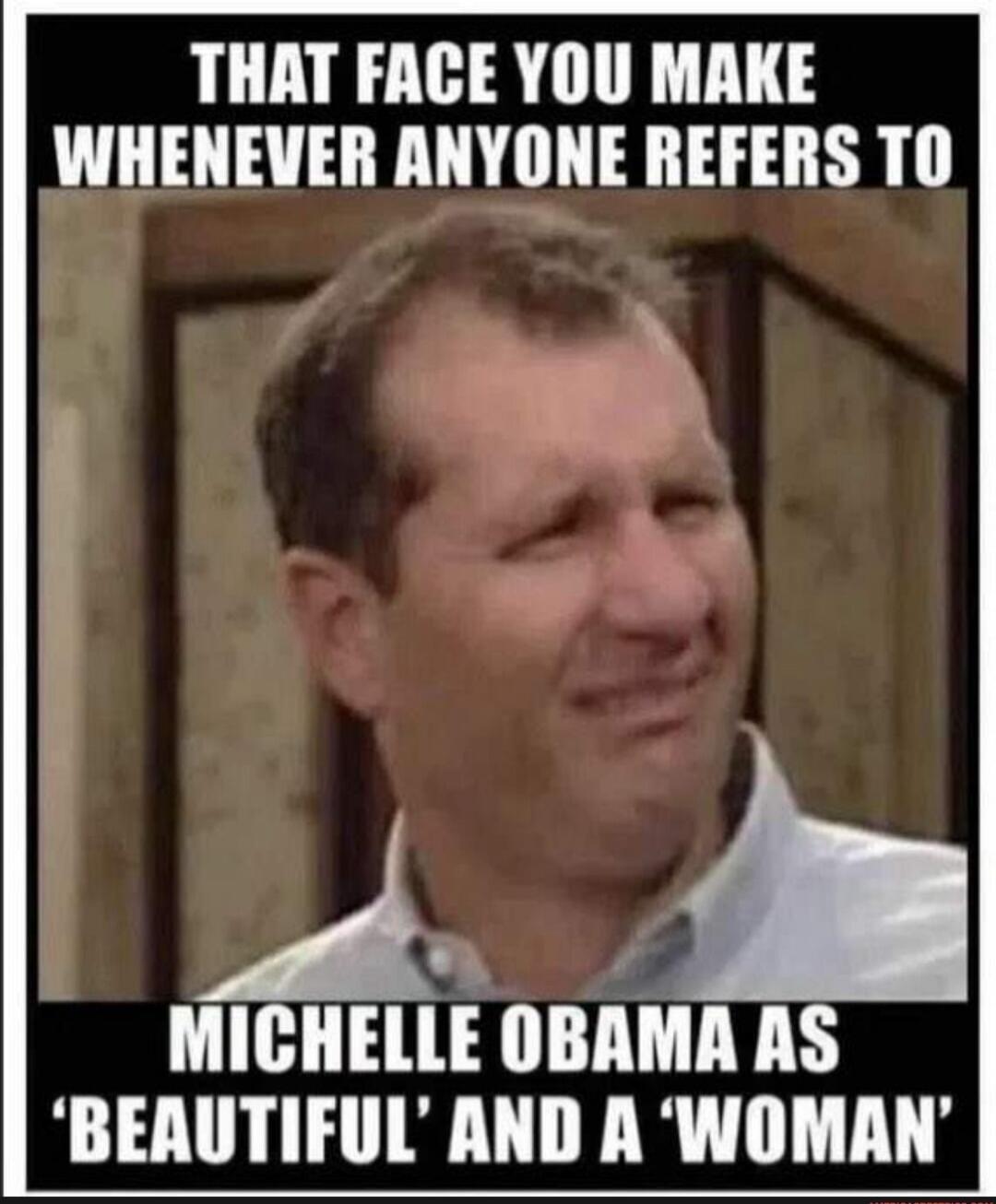 THAT FACE YOU MAKE WHENEVER ANYONE REFERS TO MICHELLE OBAMA AS 'BEAUTIFUL' AND A 'WOMAN'