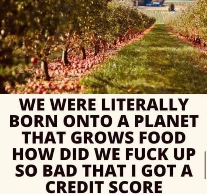 g AEETLE a i W BORN ONTO A PLANET THAT GROWS FOOD HOW DID WE FUCK UP SO BAD THAT I GOTA CREDIT SCORE