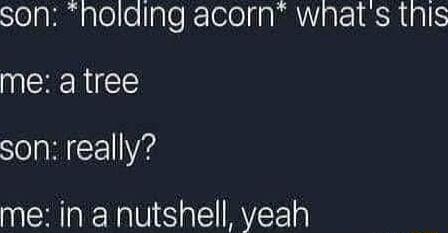 Son holding acorn whats tnis YERERICEE SoaRI11Y4 me in a nutshell yeah