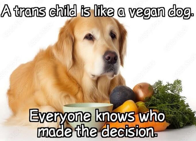 A trans child is like a vegan dog. Everyone knows who made the decision.