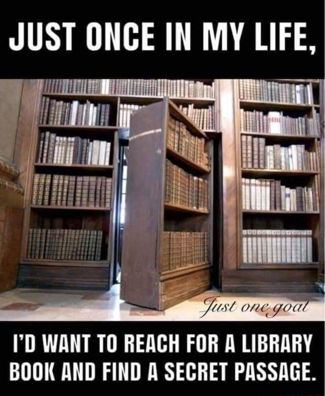 JUST ONCE IN MY LIFE M 01 ym ID WANT TO REACH FOR A LIBRARY BOOK AND FIND A SECRET PASSAGE