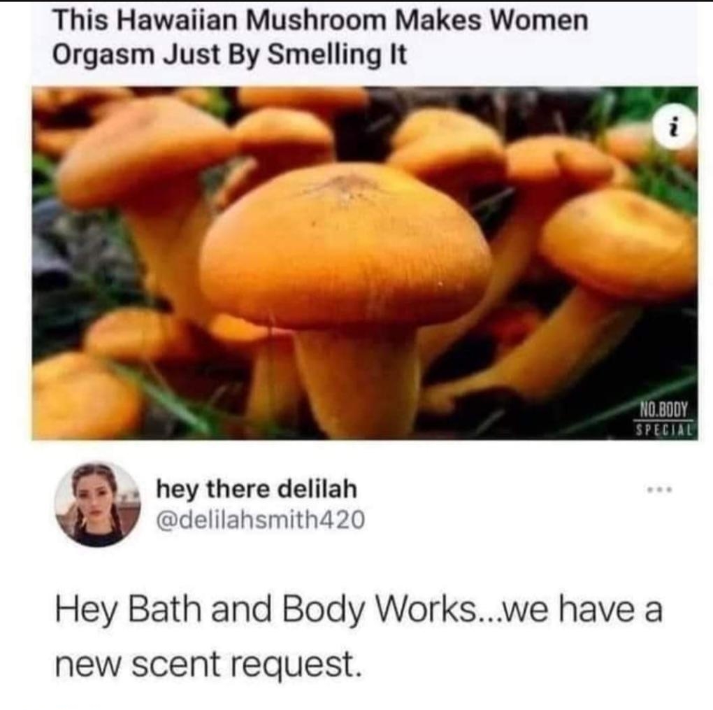 This Hawaiian Mushroom Makes Women Orgasm Just By Smelling It B G hey there delilah U delilahsmith420 Hey Bath and Body Workswe have a new scent request