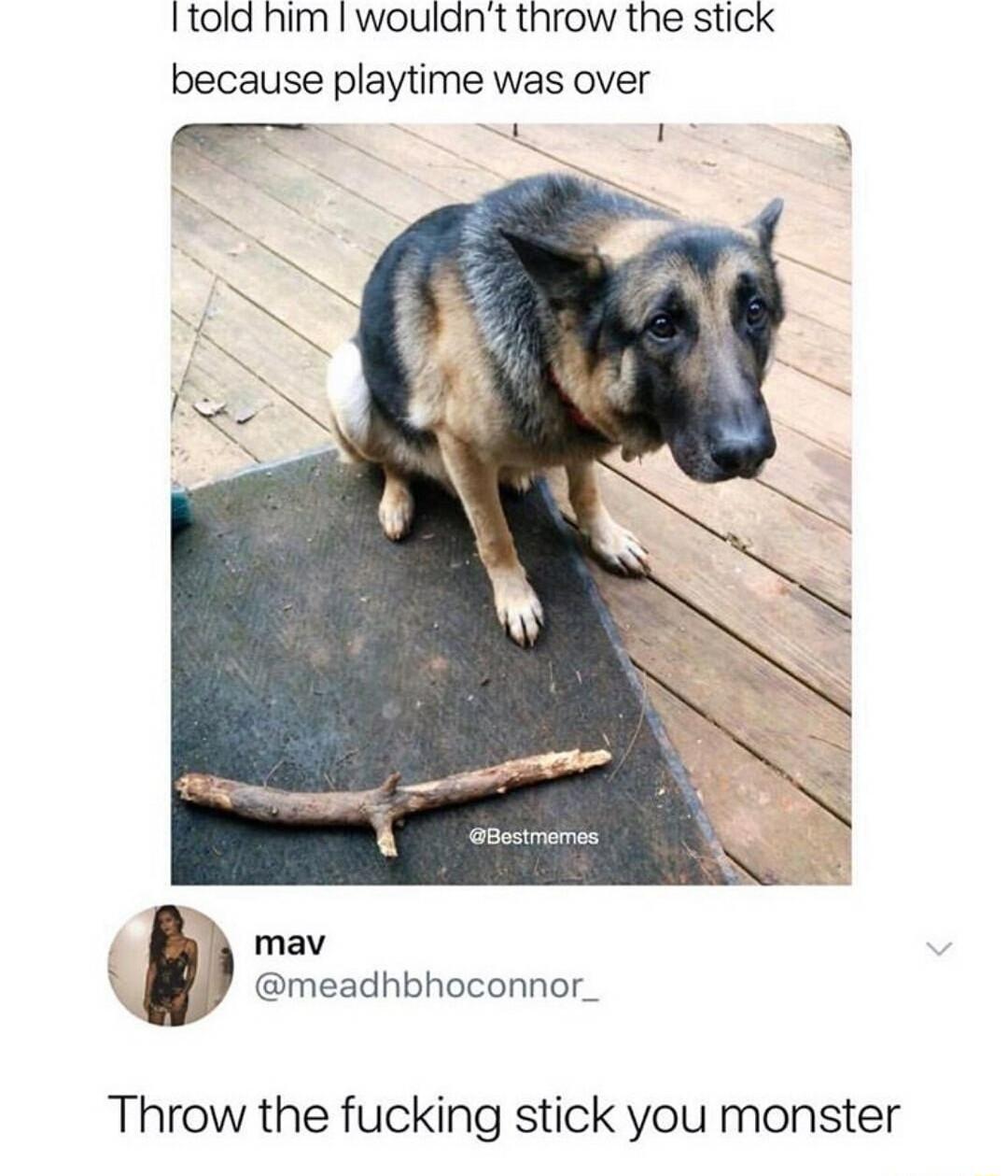 Itoid him wouldnt throw the stick because playtime was over mav meadhbhoconnor_ Throw the fucking stick you monster