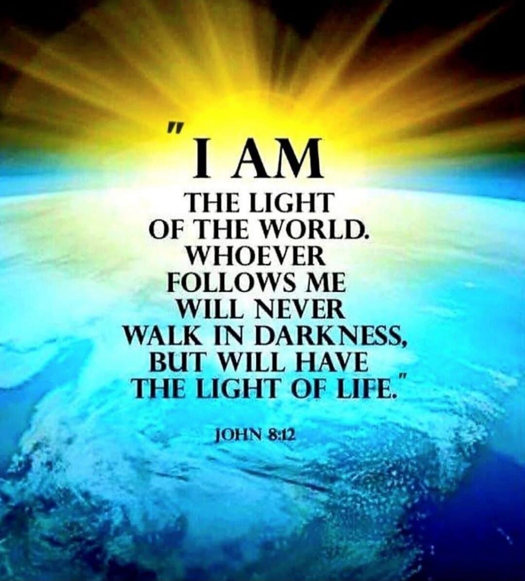 I AM THE LIGHT OF THE WORLD. WHOEVER FOLLOWS ME WILL NEVER WALK IN DARKNESS, BUT WILL HAVE THE LIGHT OF LIFE. JOHN 8:12