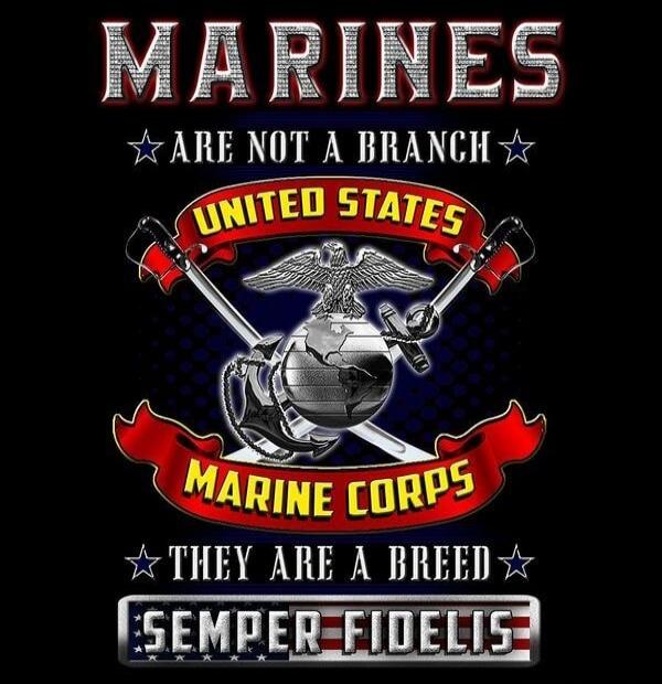 MARINES ARE NOT A BRANCH UNITED STATES MARINE CORPS THEY ARE A BREED SEMPER FIDELIS