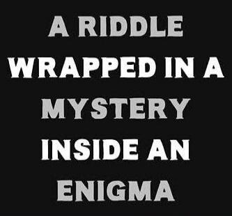 A RIDDLE WRAPPED IN A MYSTERY INSIDE AN ENIGMA
Session ID: 1043624.