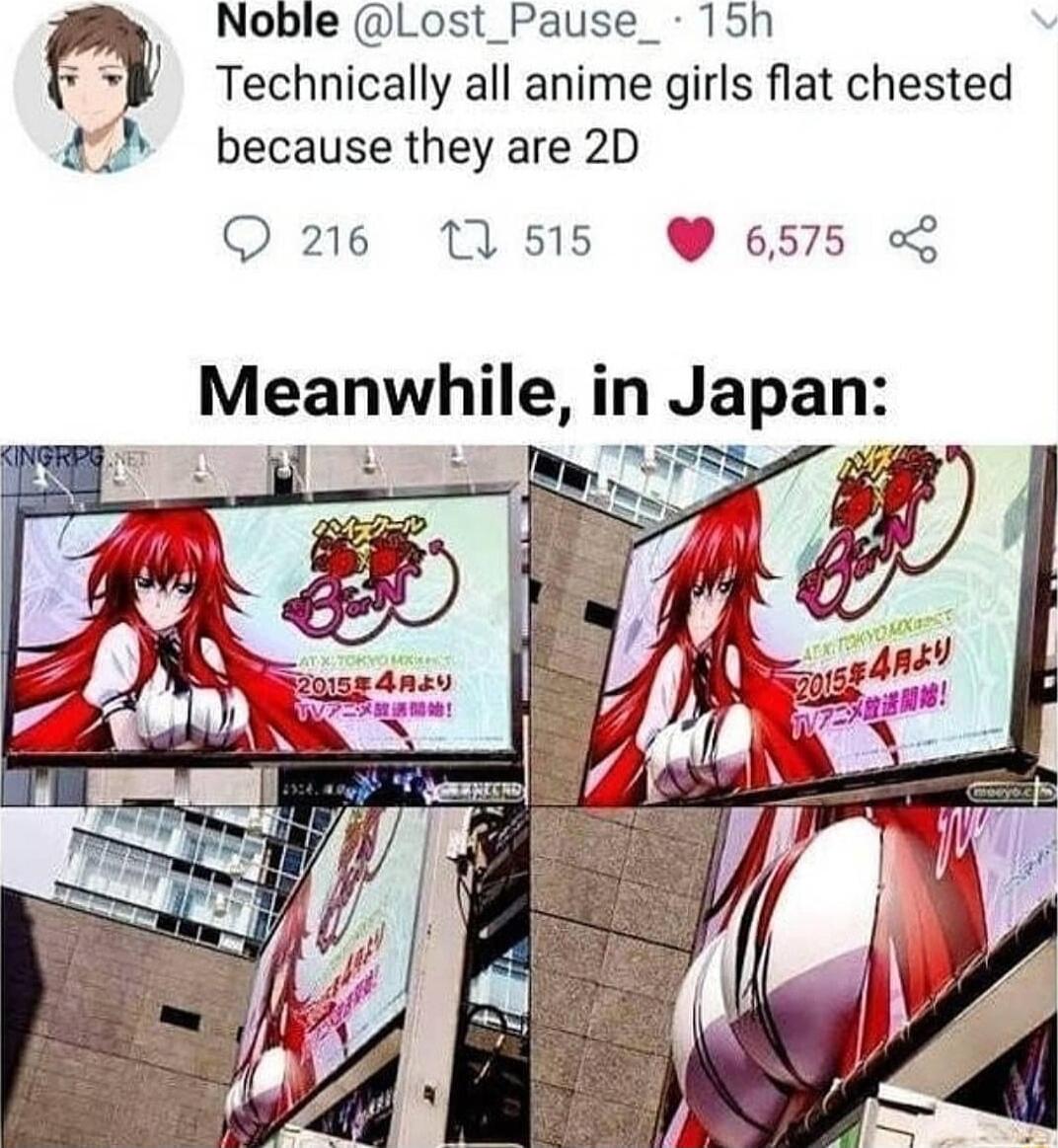 Noble Lost_Pause_ 15h m Technically all anime girls flat chested 47 because they are 2D Q216 11515 6575 Meanwhile in Japan i