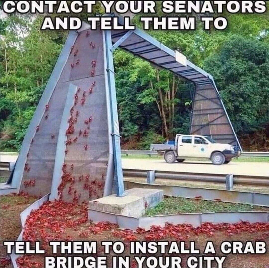 TELL THEM TO INSTALL A CRAB BRIDGE INYOUR CITY