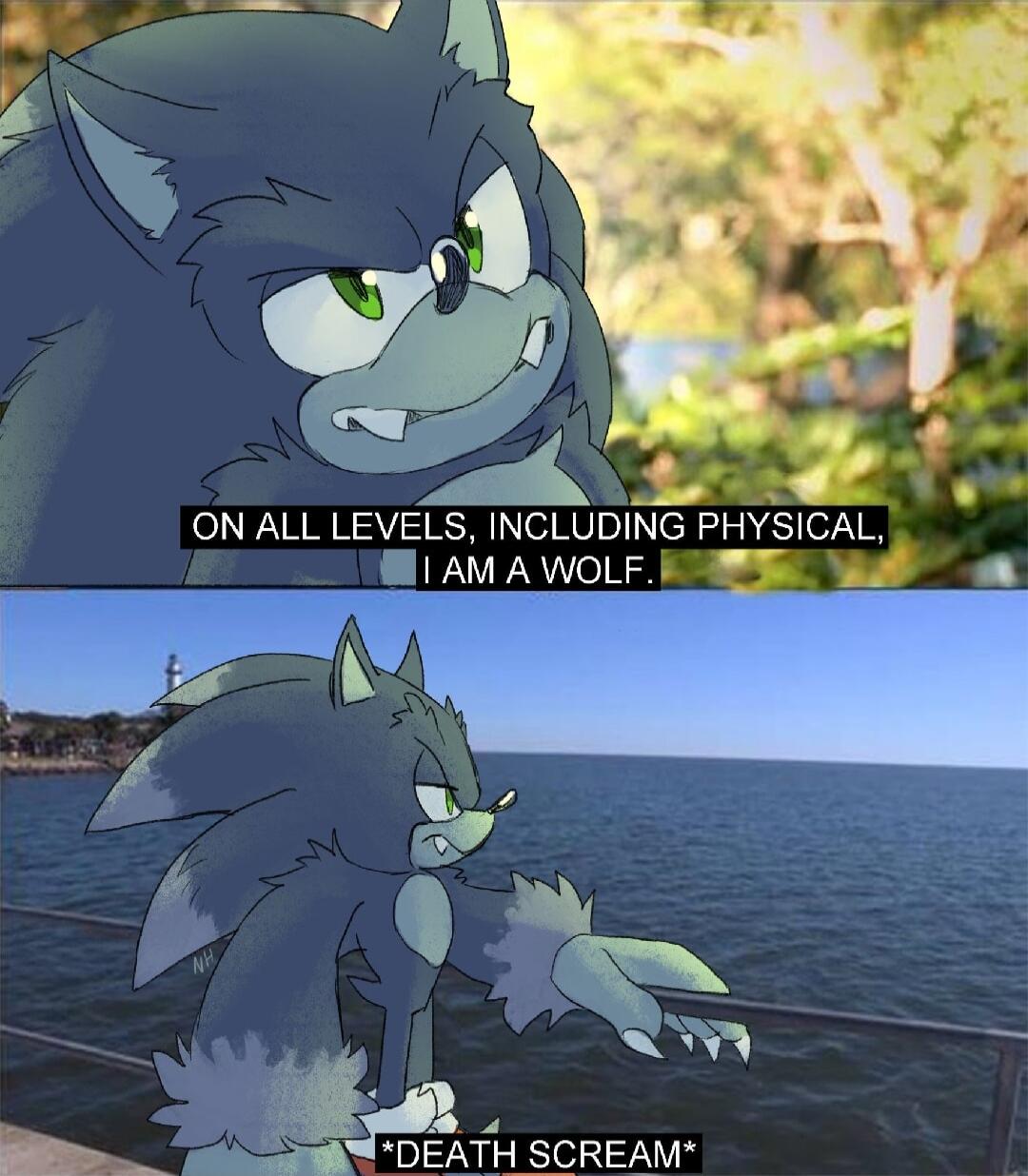 I ON ALL LEVELS INCLUDING PHYSICAL AM A WOLF il