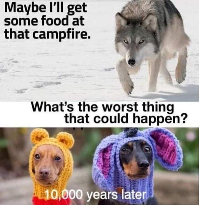 Maybe I'll get some food at that campfire. What's the worst thing that could happen? 10,000 years later
