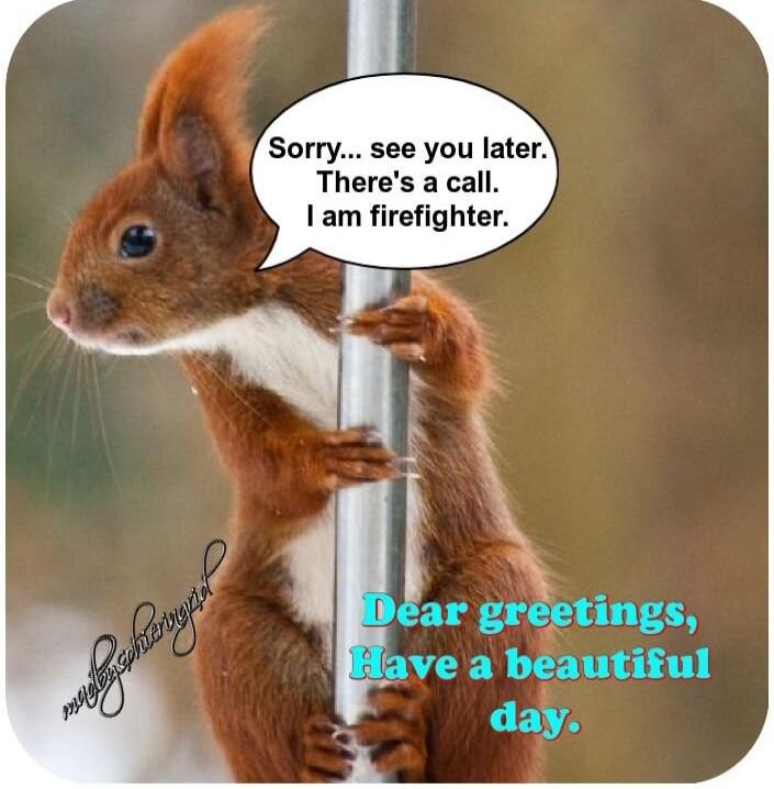 Sorry... see you later. There's a call. I am firefighter. Dear greetings, Have a beautiful day.