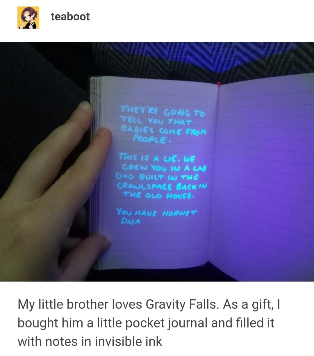 My little brother loves Gravity Falls As a gift bought him a little pocket journal and filled it with notes in invisible ink