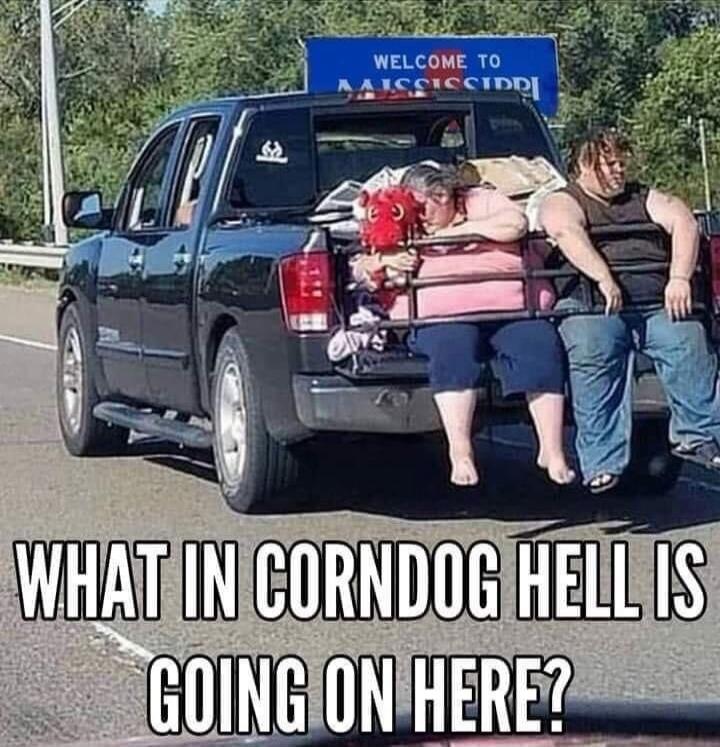 WELCOME TO MISSISSIPPI WHAT IN CORNDOG HELL IS GOING ON HERE?