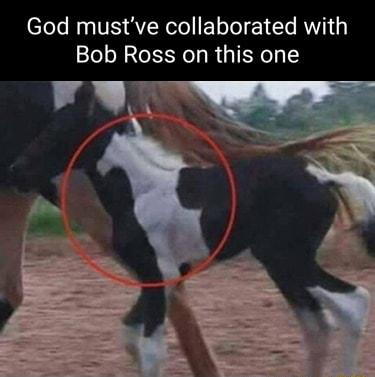 God mustve collaborated with Bob Ross on this one LA N