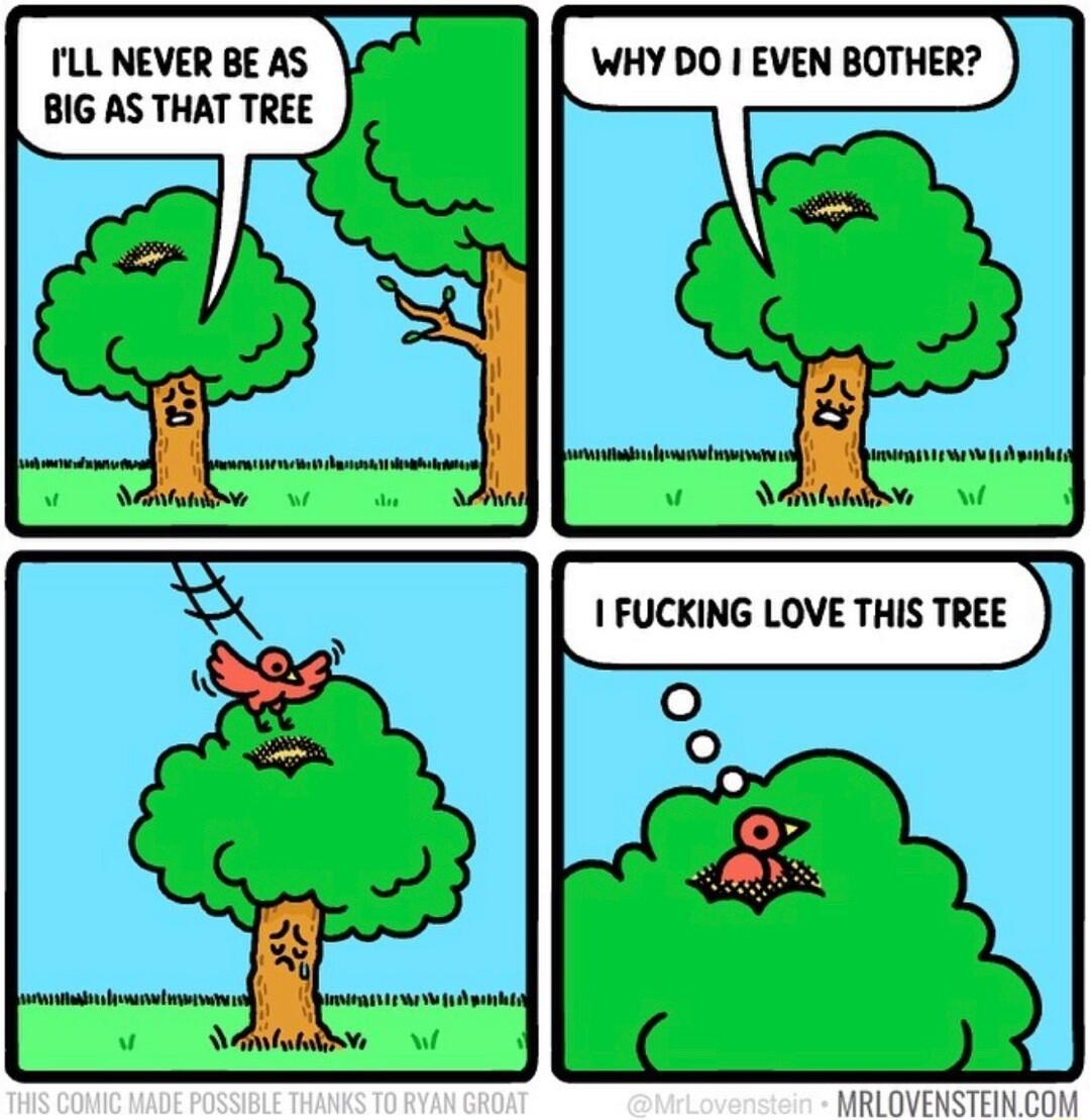 ILL NEVER BE AS WHY DO EVEN BOTHER BIG AS THAT TREE