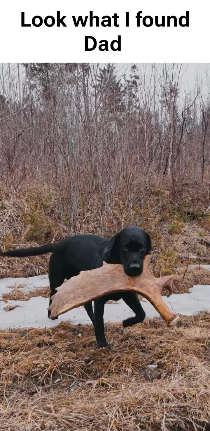 Look what I found Dad