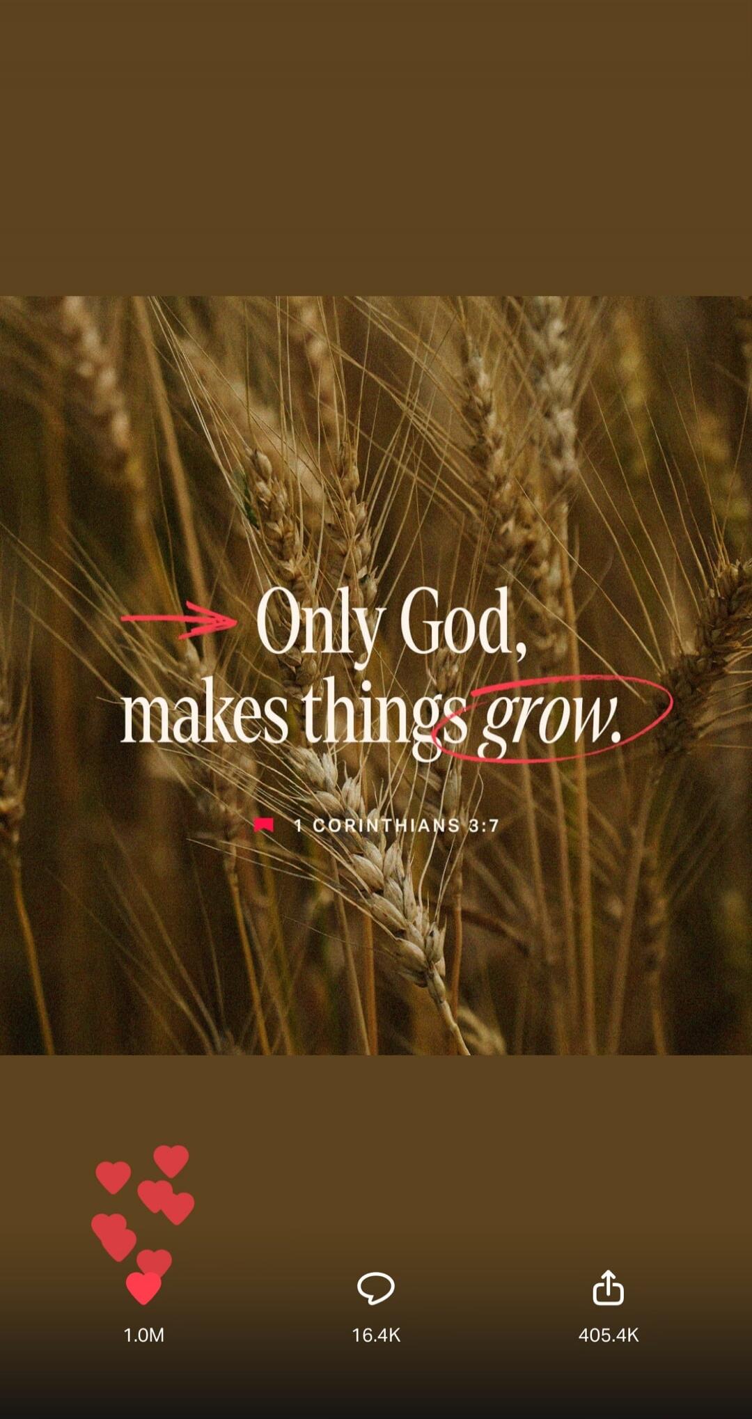 Only God, makes things grow. 1 Corinthians 3:7