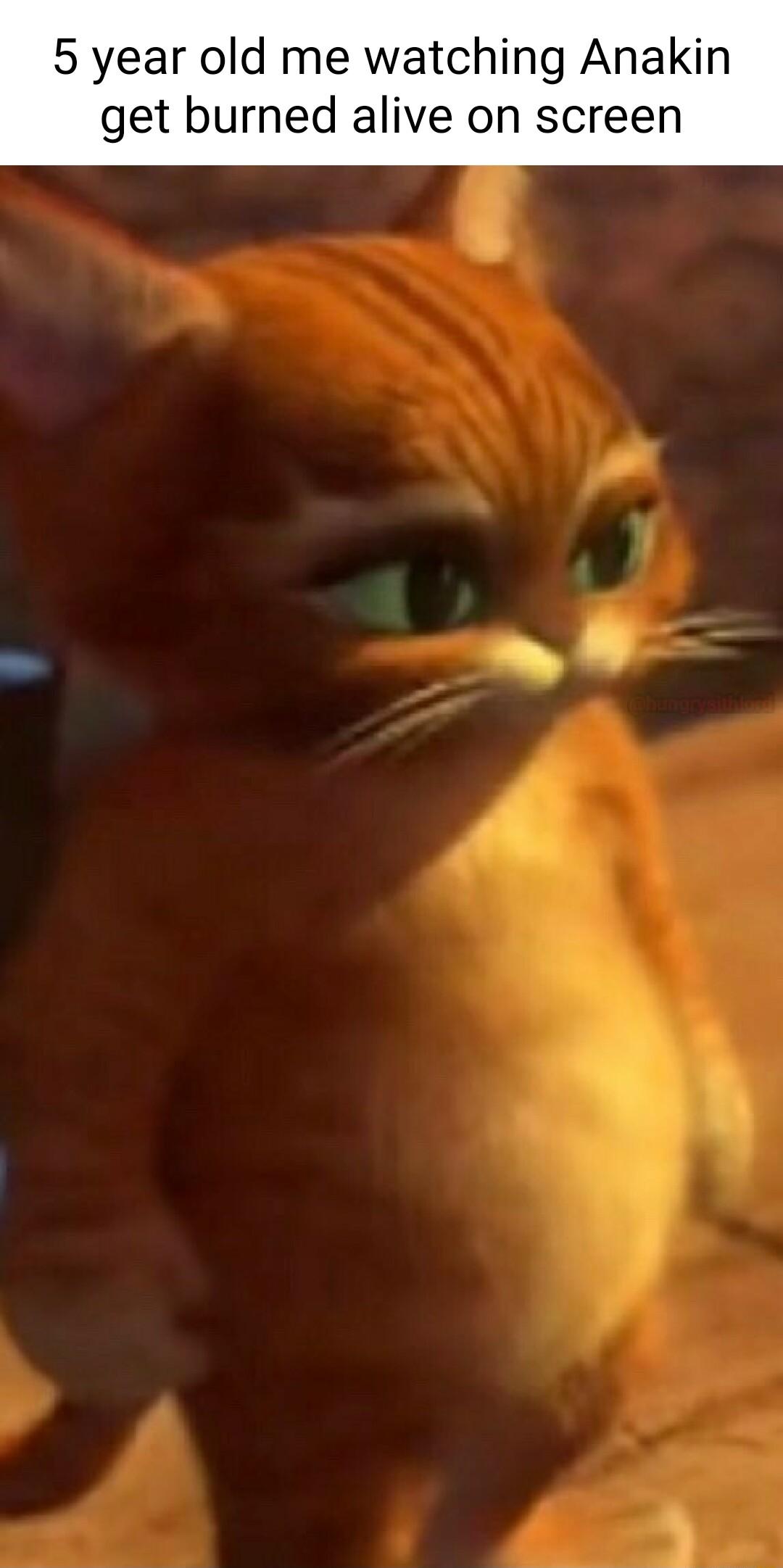 5 year old me watching Anakin get burned alive on screen e