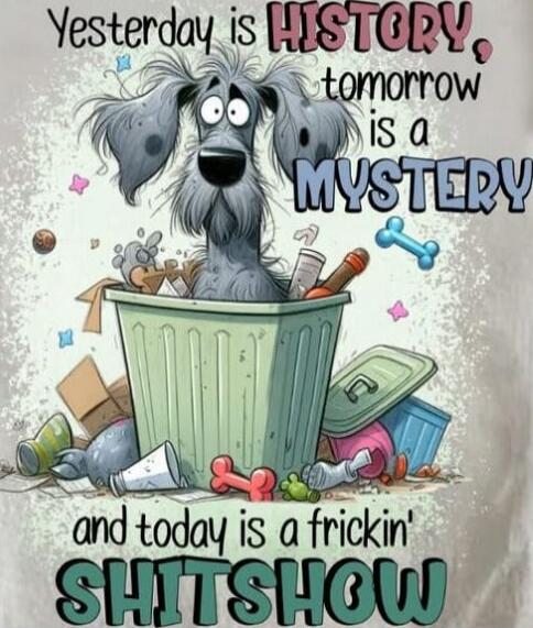 Yesterday is HISTORY, tomorrow is a MYSTERY and today is a frickin' SHITSHOW