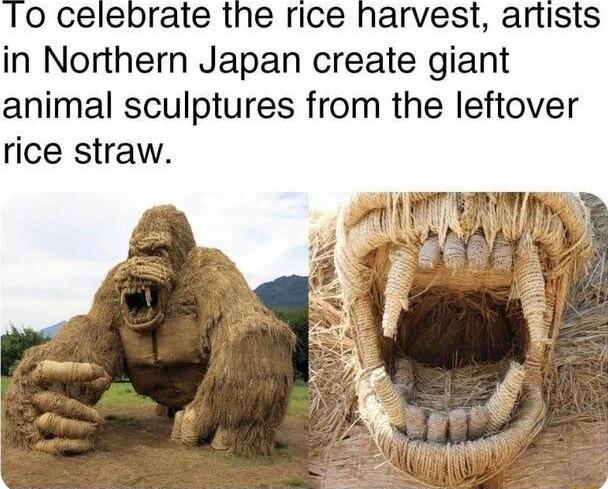 O celebrate the rice harvest artists in Northern Japan create giant animal sculptures from the leftover rice straw