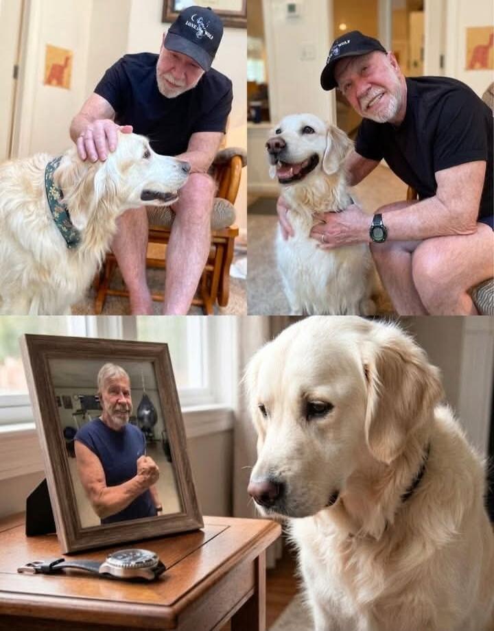 A man with a beard and a cap is shown happily interacting with a golden retriever in the top two images. In the bottom image, the same golden retriever looks sadly at a framed photo of the man, who appears younger and is flexing his bicep. A watch is placed on the table next to the photo.