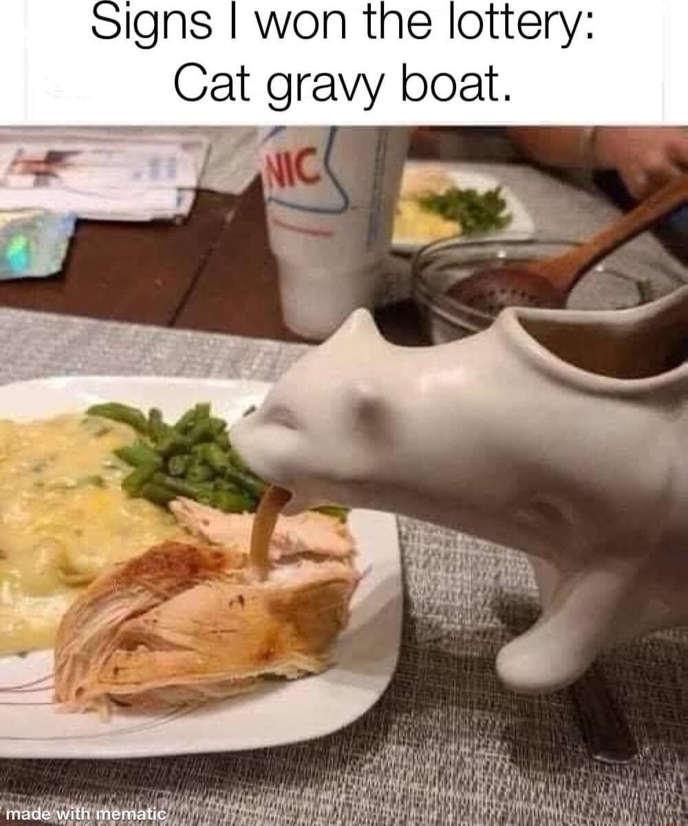igns won the lottery Cat gravy boat