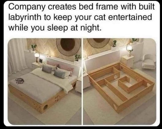 Seth Andrews 1 can already hear the sound of my cat throwing up undermeath my L e e P Company creates bed frame with built labyrinth to keep your cat entertained while you sleep at night