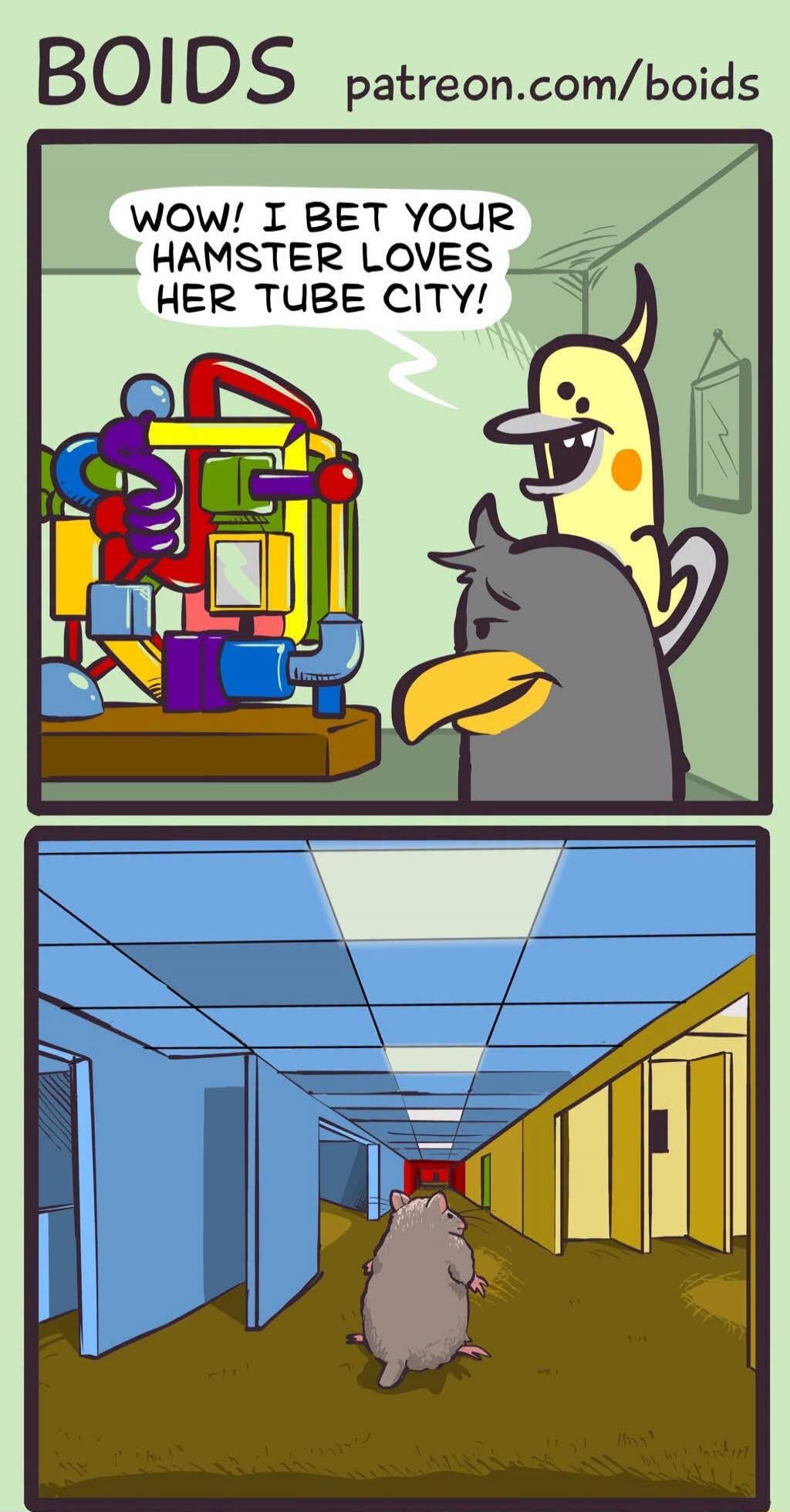 BOIDS patreon.com/boids WOW! I BET YOUR HAMSTER LOVES HER TUBE CITY!
