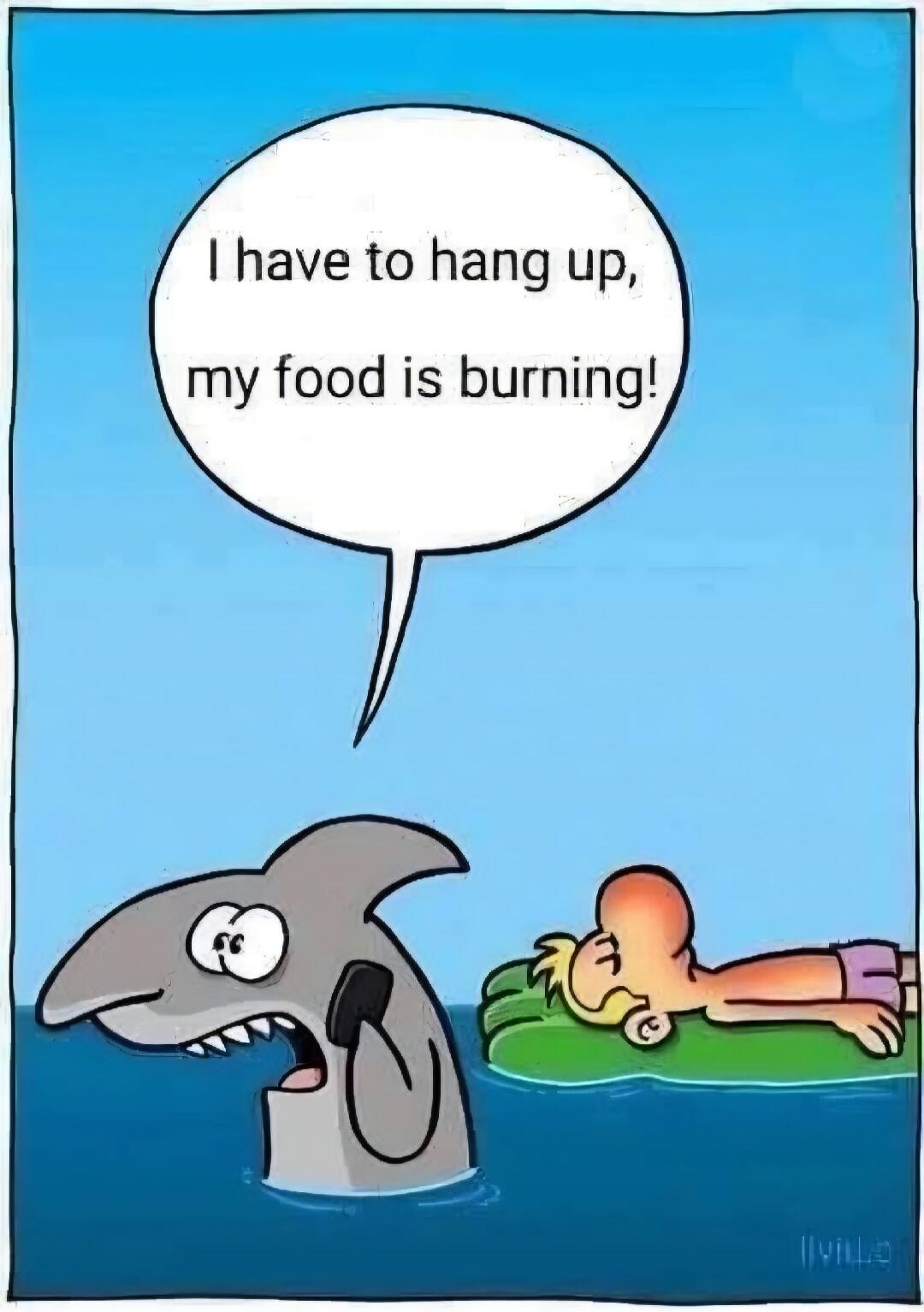 I have to hang up, my food is burning!