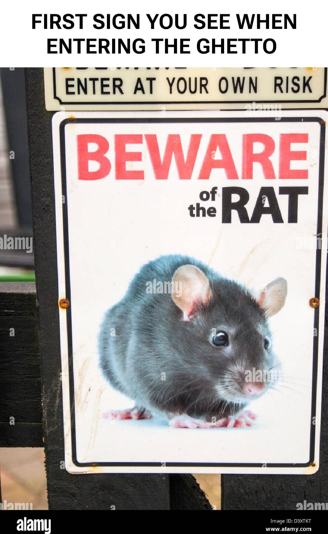 FIRST SIGN YOU SEE WHEN ENTERING THE GHETTO ENTER AT YOUR OWN RISK BEWARE of the RAT