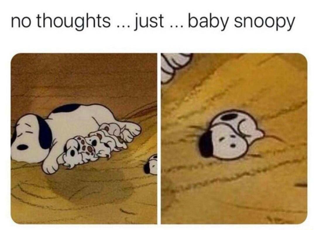 no thoughts just baby snoopy
