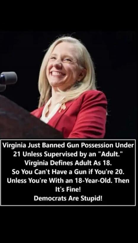 Virginia Just Banned Gun Possession Under 21 Unless Supervised by an 