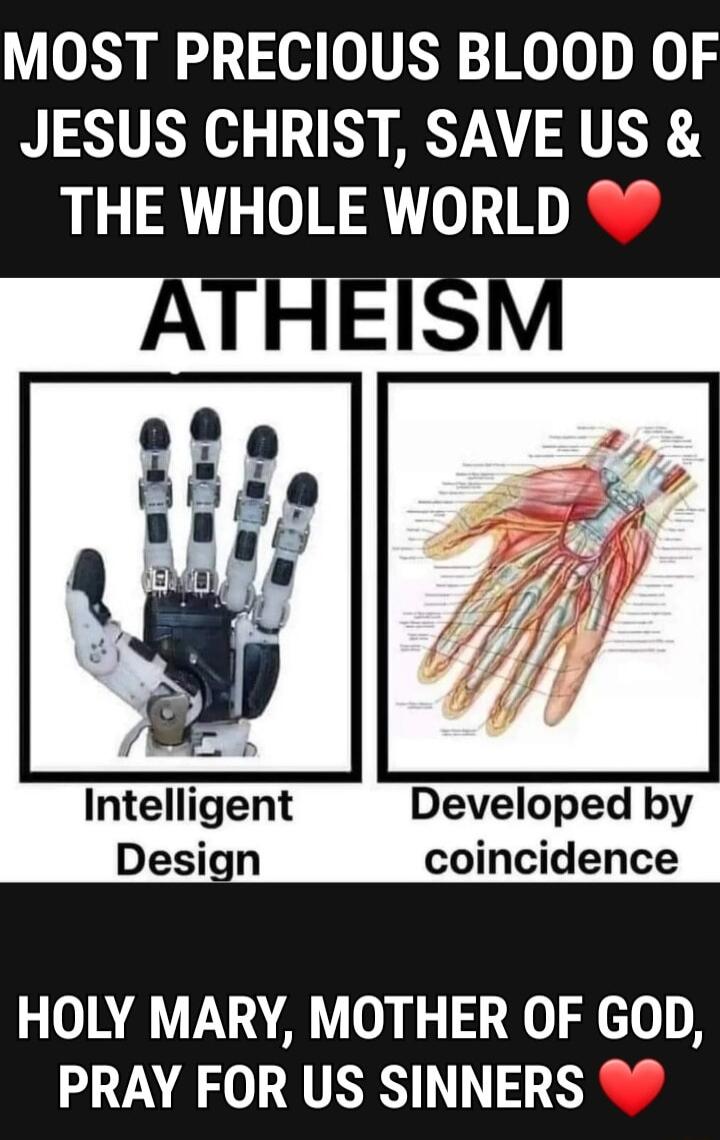 MOST PRECIOUS BLOOD OF JESUS CHRIST SAVE US THE WHOLE WORLD Intelligent Developed by Design coincidence HOLY MARY MOTHER OF GOD PRAY FOR US SINNERS