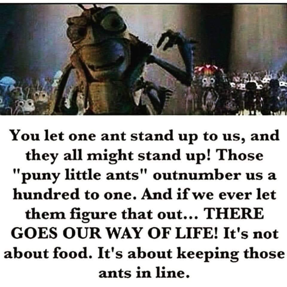 You let one ant stand up to us and they all might stand up Those puny little ants outnumber us a hundred to one And if we ever let them figure that out THERE GOES OUR WAY OF LIFE Its not about food Its about keeping those ants in line