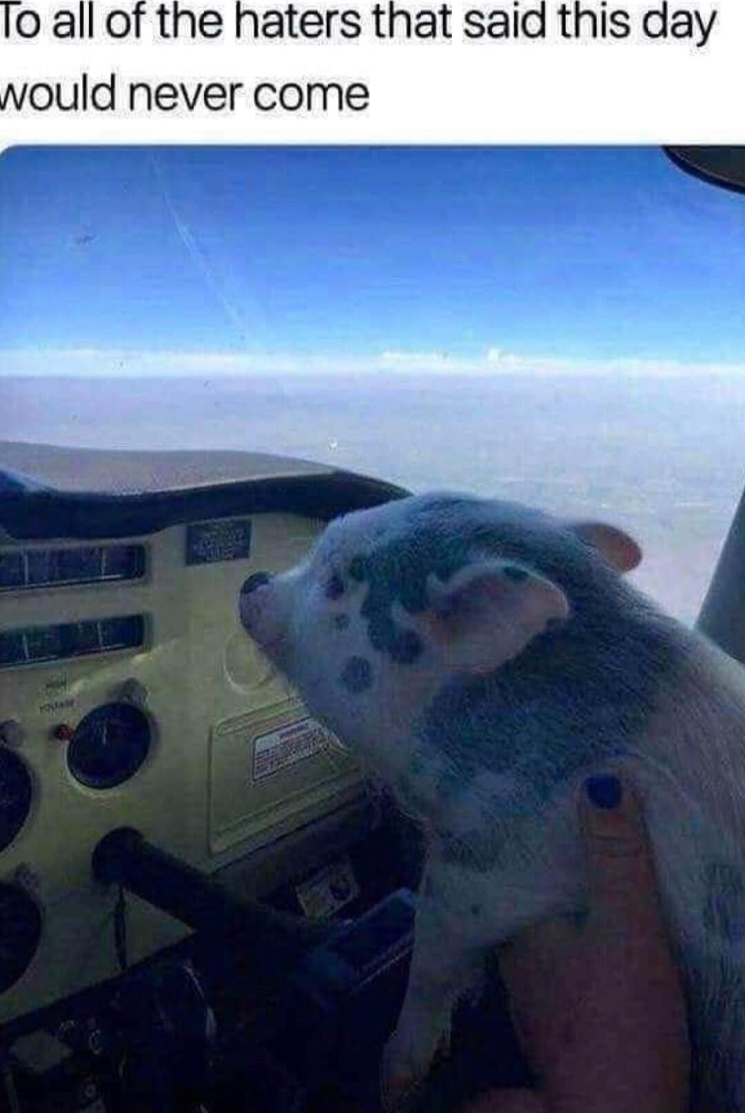 o all of the haters that said this d ould never come