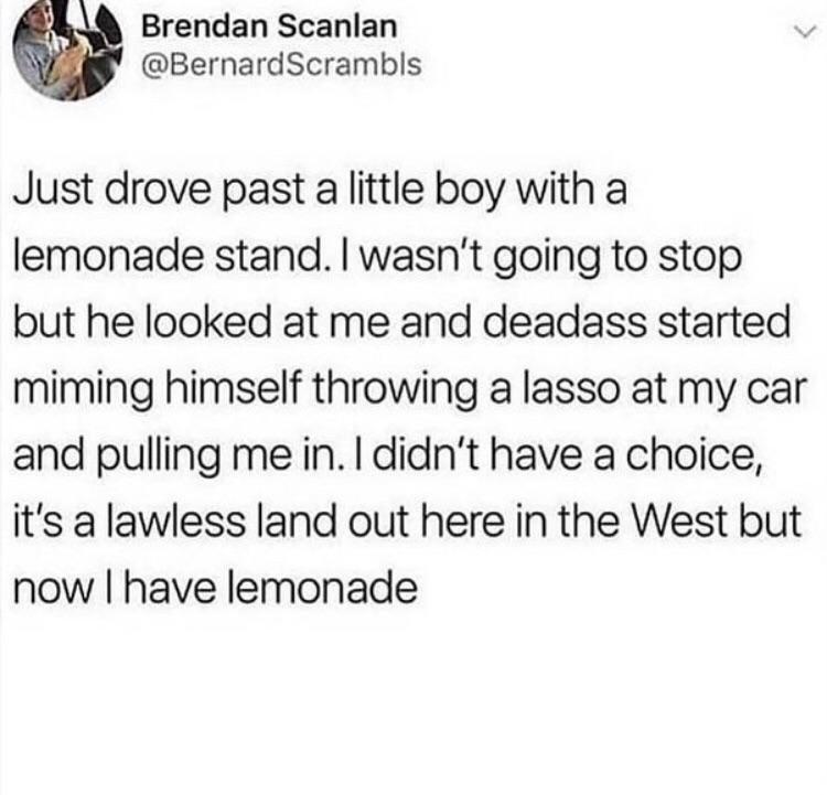 Brendan Scanlan BernardScrambls Just drove past a little boy with a lemonade stand wasnt going to stop but he looked at me and deadass started miming himself throwing a lasso at my car and pulling me in didnt have a choice its a lawless land out here in the West but now have lemonade