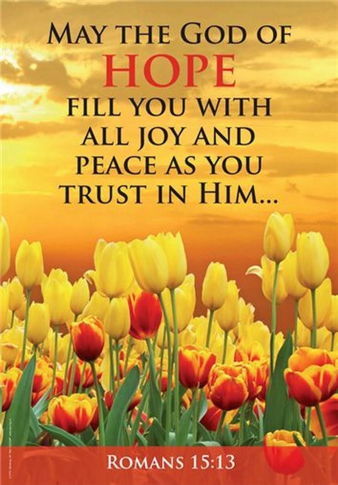 MAY THE GOD OF HOPE FILL YOU WITH ALL JOY AND PEACE AS YOU TRUST IN HIM... ROMANS 15:13