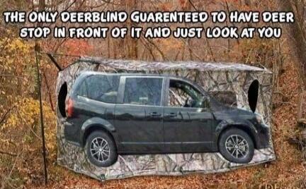 THE ONLY DEERBLIND GUARENTEED TO HAVE DEER STOP IN FRONT OF IT AND JUST LOOK AT YOU