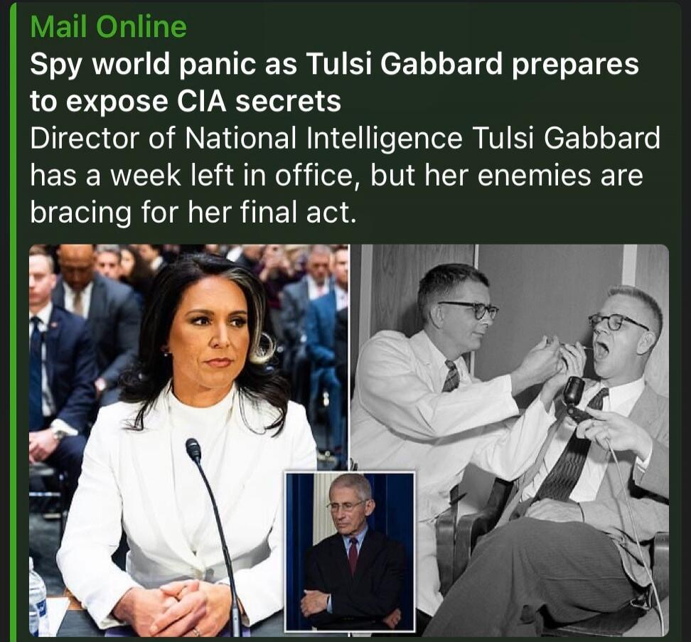 Mail Online Spy world panic as Tulsi Gabbard prepares to expose CIA secrets Director of National Intelligence Tulsi Gabbard has a week left in office, but her enemies are bracing for her final act.