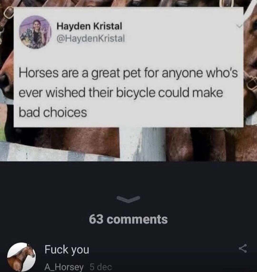 Horses are a great pet for anyone who's ever wished their bicycle could make bad choices