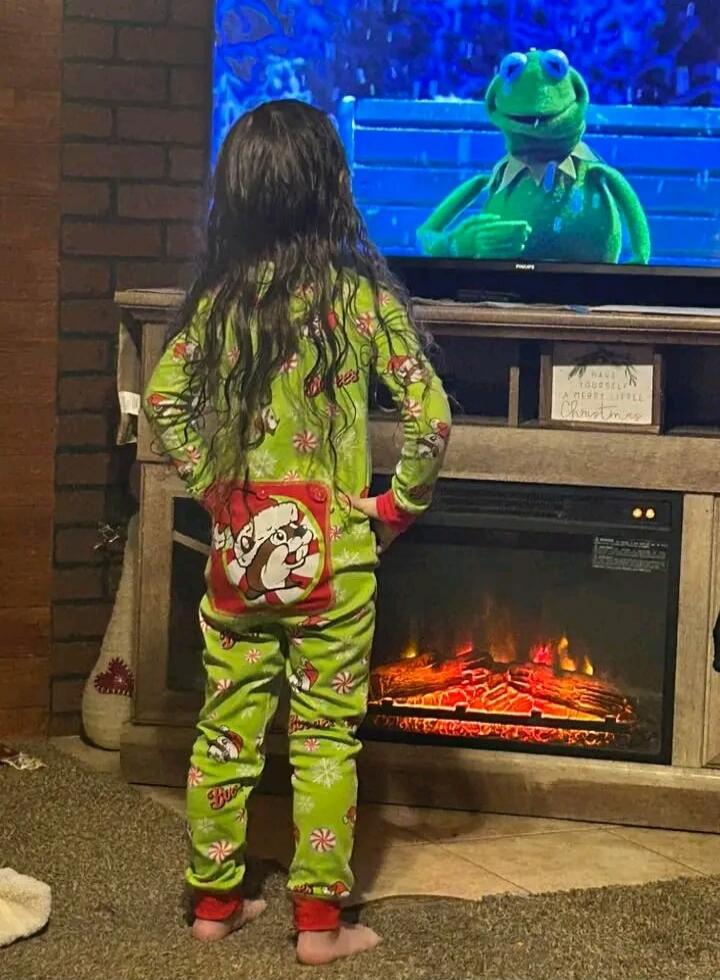 HAVE YOURSELF A MERRY LITTLE CHRISTMAS. Kermit the Frog is on the television.