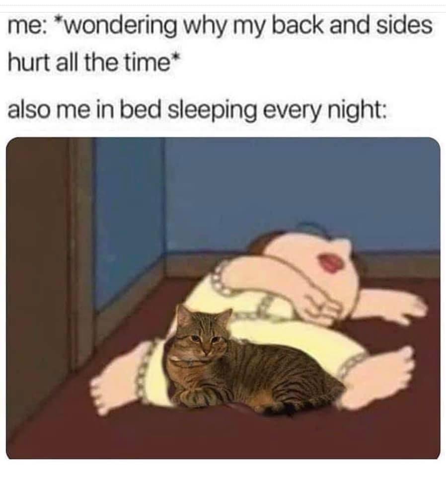me wondering why my back and sides hurt all the time also me in bed sleeping every night