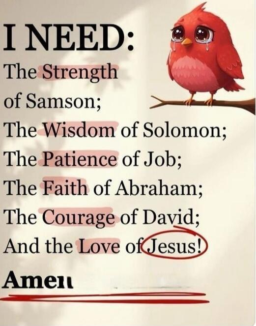 I NEED: The Strength of Samson; The Wisdom of Solomon; The Patience of Job; The Faith of Abraham; The Courage of David; And the Love of Jesus! Amen