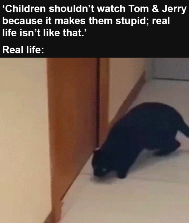 Children shouldnt watch Tom Jerry UELN 8 ELCER GET RS Tl B R NCAELRATICROE A RCEINNCH