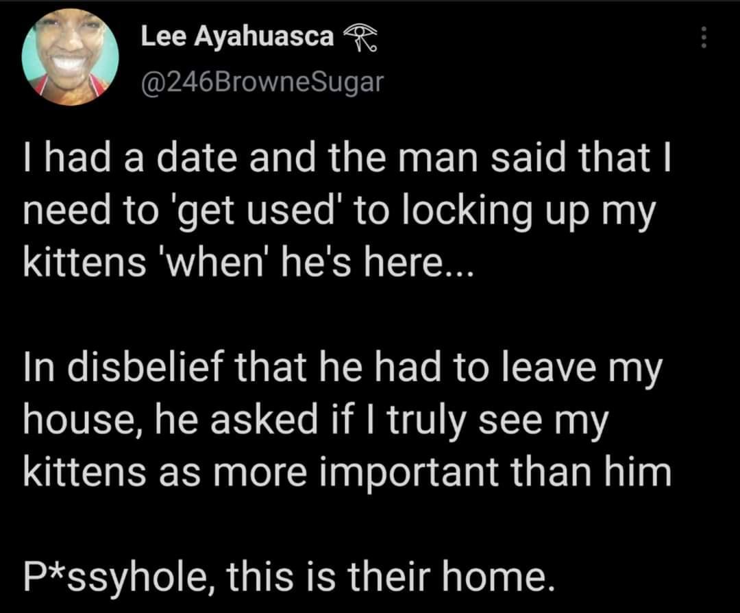 W CWATE TET o Rt PZIS1 Vs ENIe g MELENEICER R U NERET RO EIE aTTo R ol I IVESTYo M ol oTel 1a o WU o M1qY MCHERTUE L E In disbelief that he had to leave my house he asked if truly see my kittens as more important than him Pssyhole this is their home