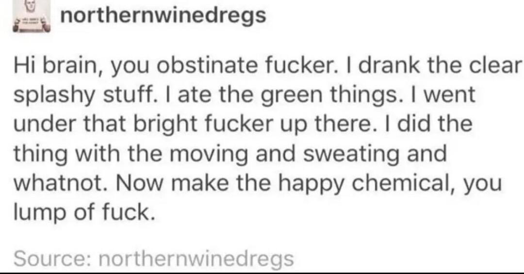 _ northernwinedregs Hi brain you obstinate fucker drank the clear splashy stuff ate the green things went under that bright fucker up there did the thing with the moving and sweating and whatnot Now make the happy chemical you lump of fuck Source northernwinedregs