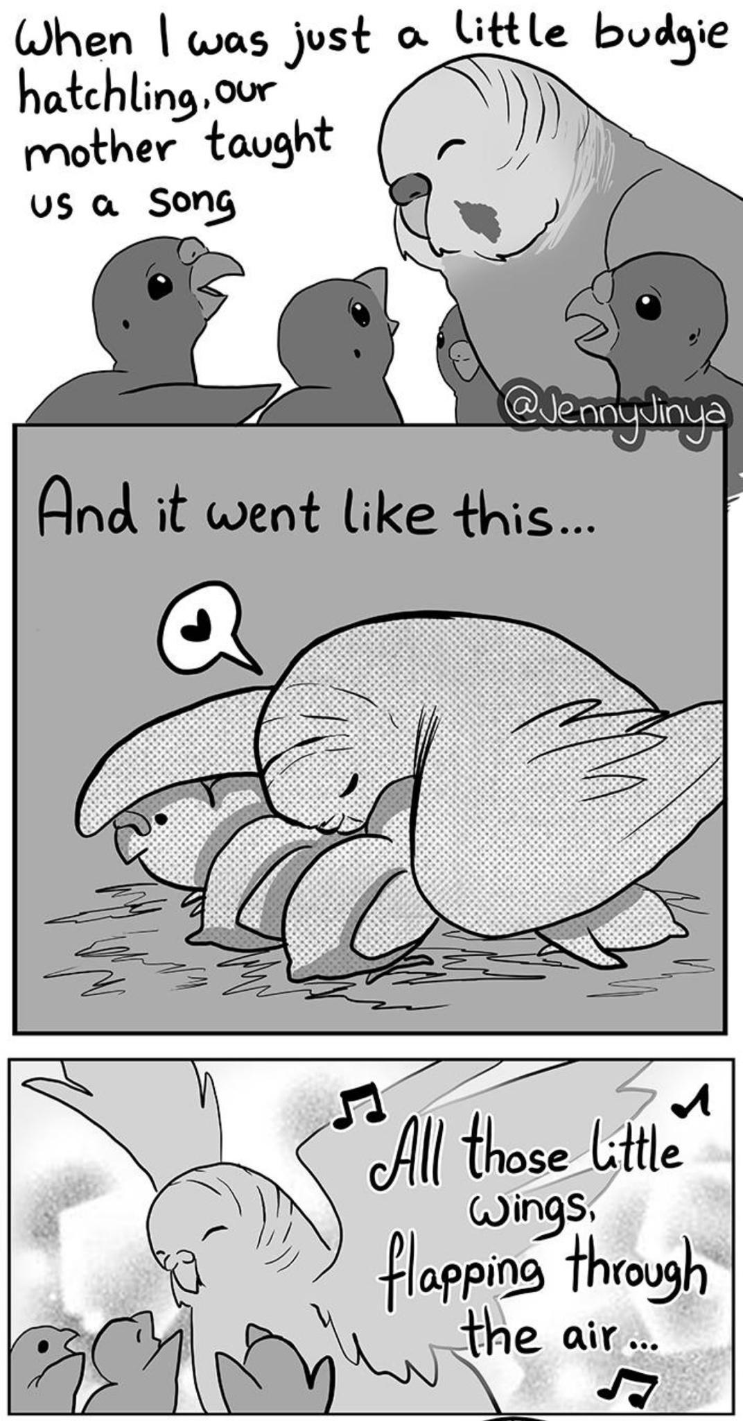 When was just o little budgie hafchling our rother tavght i ings 7 Happina through E0 g oathe nz