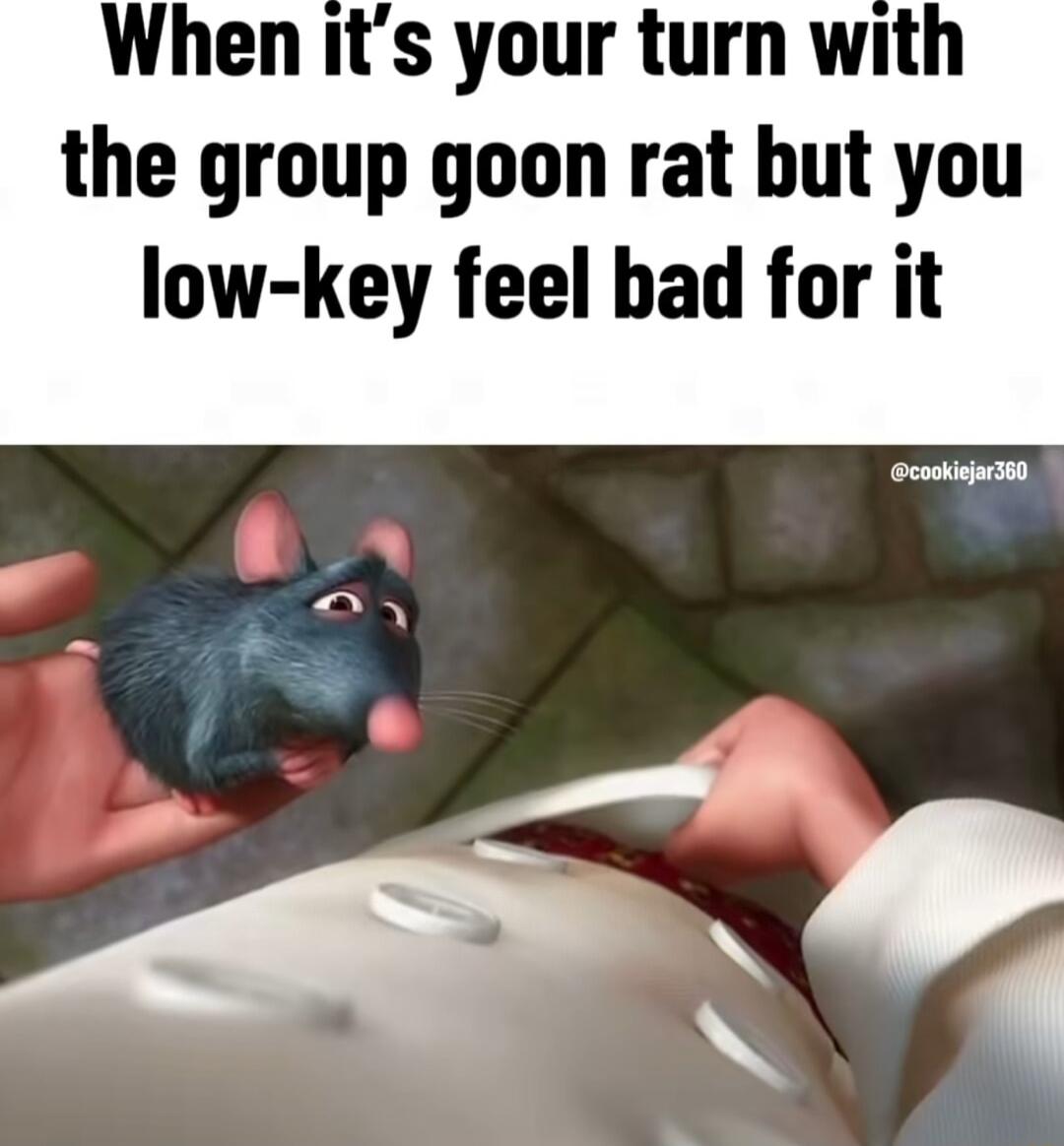 When its your turn with the group goon rat but you low key feel bad for it